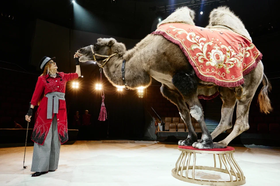 &TScy;&icy;&rcy;&kcy; &Fcy;&icy;&lcy;&acy;&tcy;&ocy;&vcy;&ycy;&khcy;