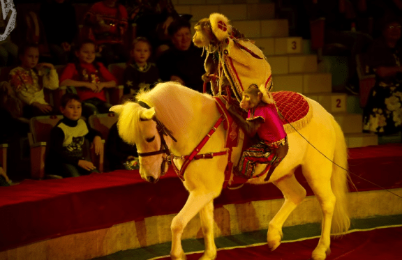 &Kcy;&icy;&pcy;&icy;&shcy;&comma; &IEcy;&lcy;&kcy;&acy;&comma; &Ncy;&ocy;&vcy;&ycy;&jcy; &Gcy;&ocy;&dcy;