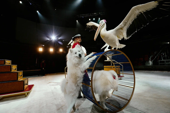 &TScy;&icy;&rcy;&kcy; &Fcy;&icy;&lcy;&acy;&tcy;&ocy;&vcy;&ycy;&khcy;