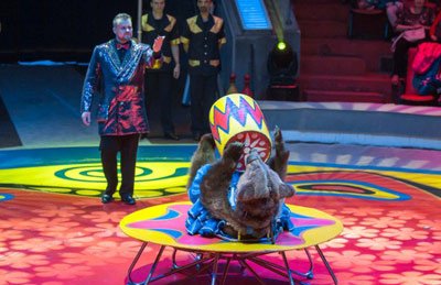 &Vcy;&scy;&iecy;&mcy;&icy;&rcy;&ncy;&ocy; &icy;&zcy;&vcy;&iecy;&scy;&tcy;&ncy;&ycy;&jcy; &TScy;&icy;&rcy;&kcy; &Fcy;&icy;&lcy;&acy;&tcy;&ocy;&vcy;&ycy;&khcy;