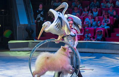 &Vcy;&scy;&iecy;&mcy;&icy;&rcy;&ncy;&ocy; &icy;&zcy;&vcy;&iecy;&scy;&tcy;&ncy;&ycy;&jcy; &TScy;&icy;&rcy;&kcy; &Fcy;&icy;&lcy;&acy;&tcy;&ocy;&vcy;&ycy;&khcy;