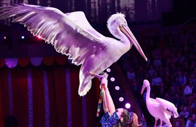 &Vcy;&scy;&iecy;&mcy;&icy;&rcy;&ncy;&ocy; &icy;&zcy;&vcy;&iecy;&scy;&tcy;&ncy;&ycy;&jcy; &TScy;&icy;&rcy;&kcy; &Fcy;&icy;&lcy;&acy;&tcy;&ocy;&vcy;&ycy;&khcy;