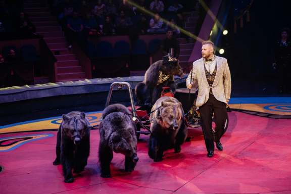 &TScy;&icy;&rcy;&kcy; &Fcy;&icy;&lcy;&acy;&tcy;&ocy;&vcy;&ycy;&khcy;